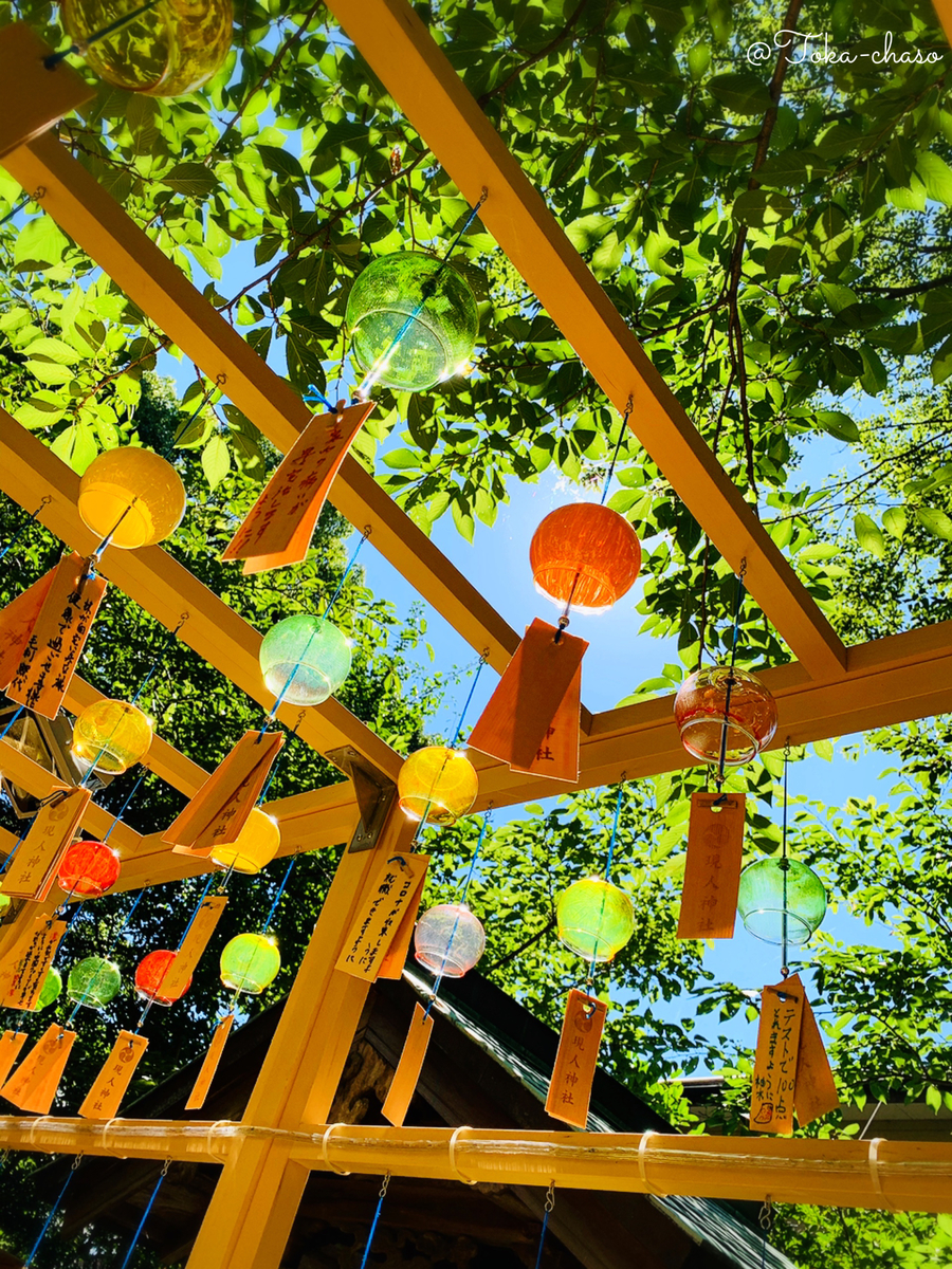f:id:torus3594:20210503002457j:plain
