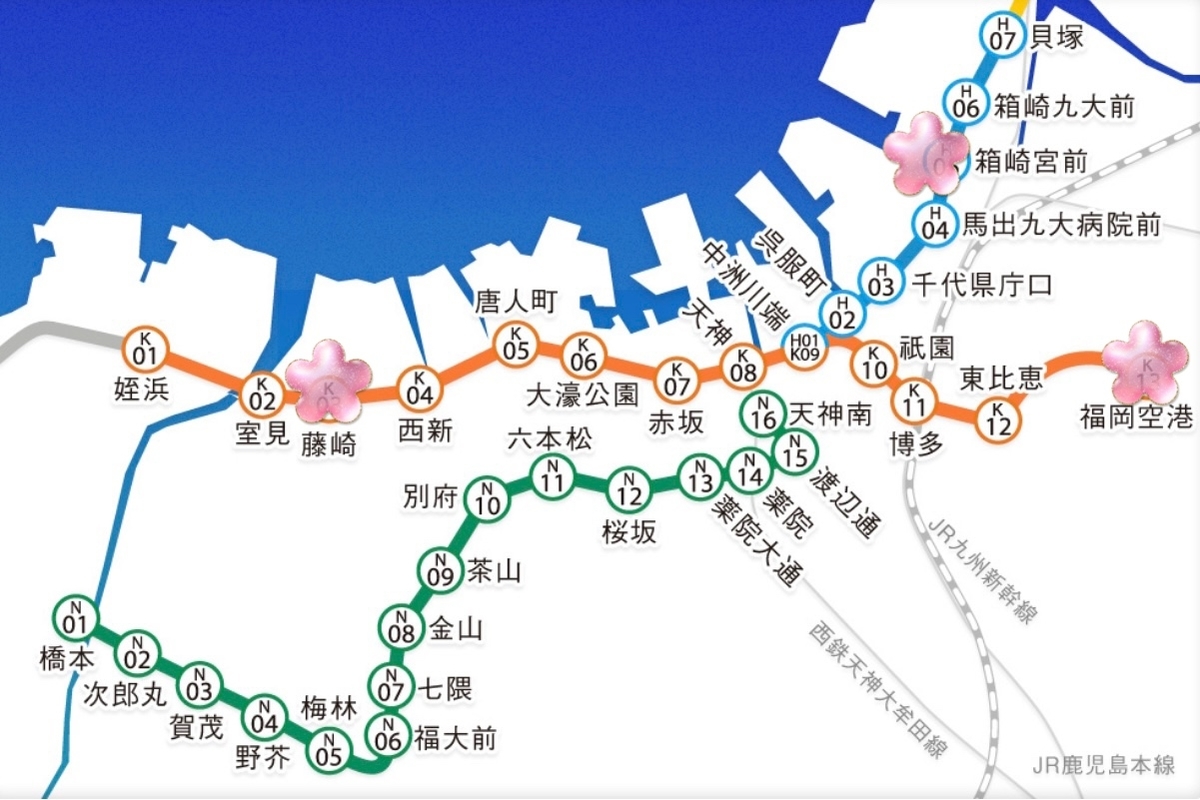 f:id:torus3594:20220220014207j:plain