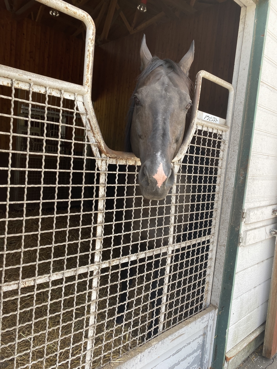 f:id:torutye0321:20211201224446j:plain