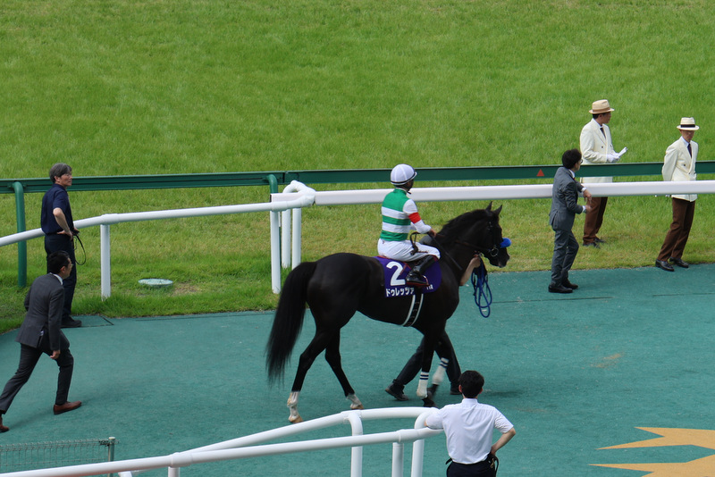 2025年6月15日 阪神競馬場へ 宝塚記念観戦 - 日々馬道楽