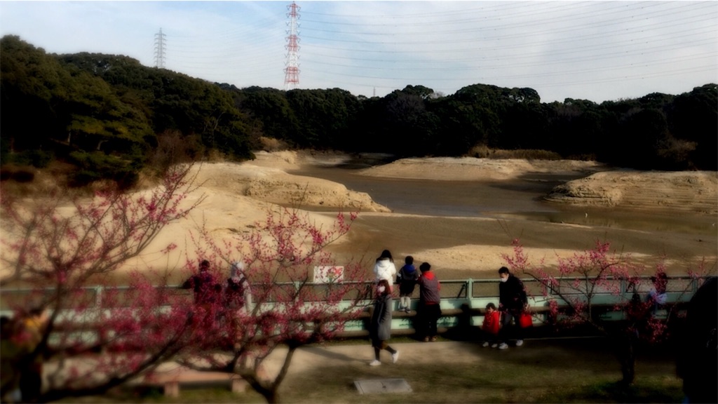 f:id:tosakacika:20190210233939j:image