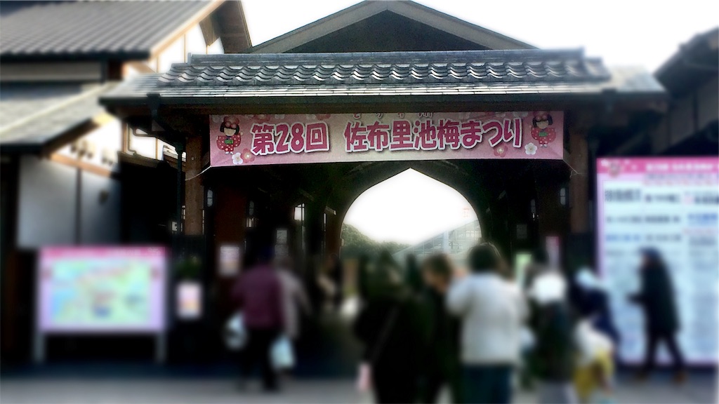 f:id:tosakacika:20190210233959j:image