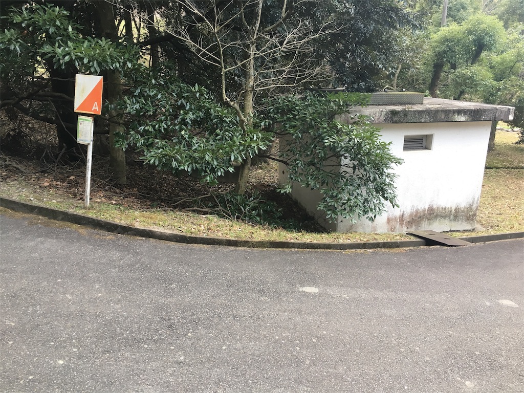 f:id:tosakacika:20190306192710j:image