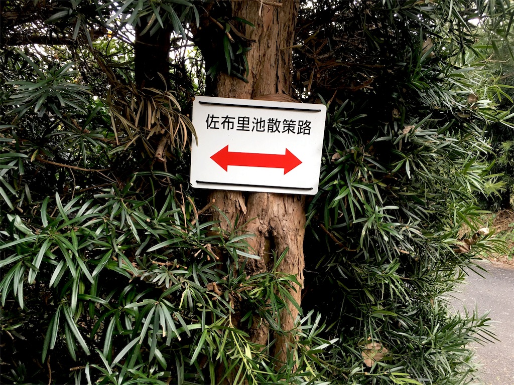 f:id:tosakacika:20190311071803j:image