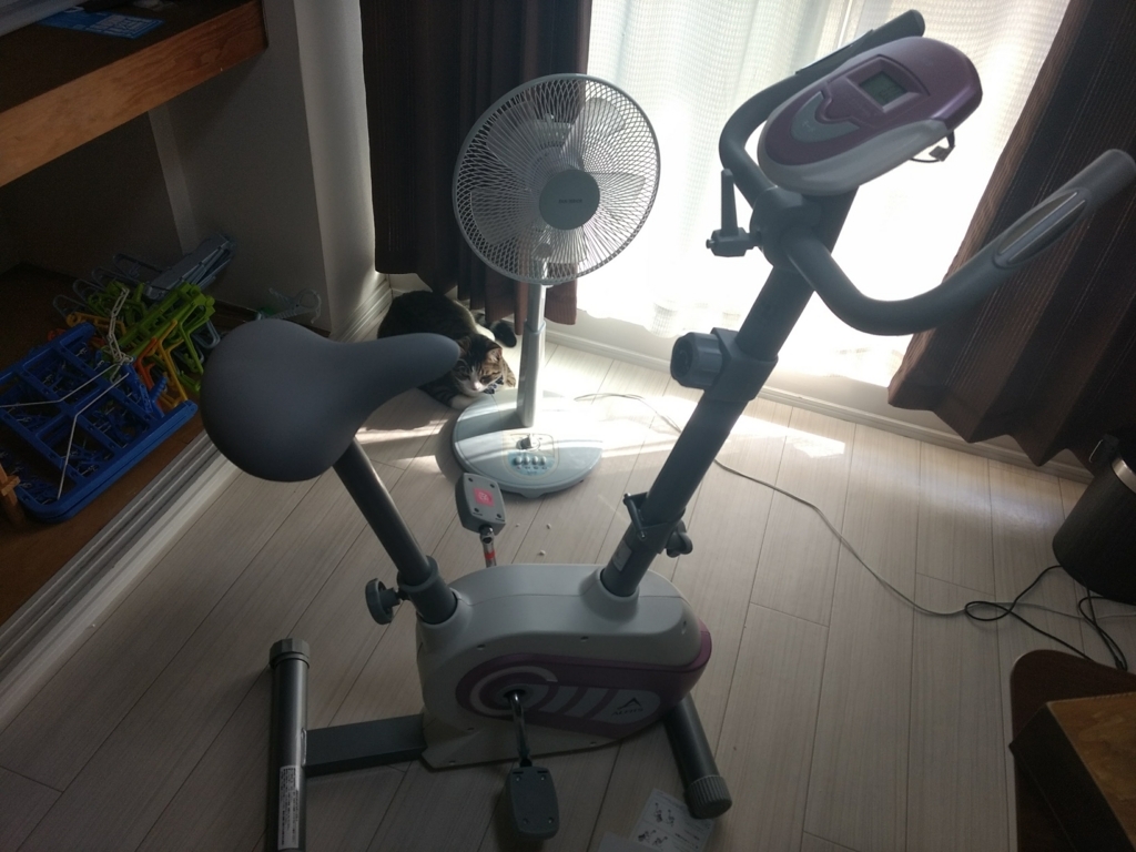 f:id:tosakax:20180521232312j:plain