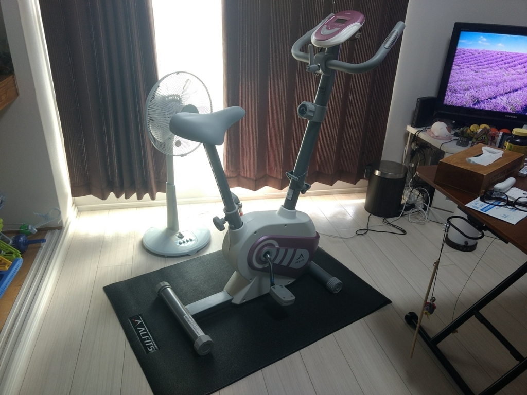 f:id:tosakax:20180521233411j:plain