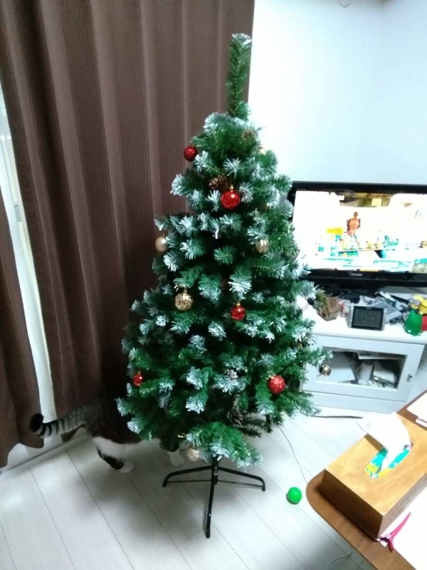 飾り付けたクリスマスツリー