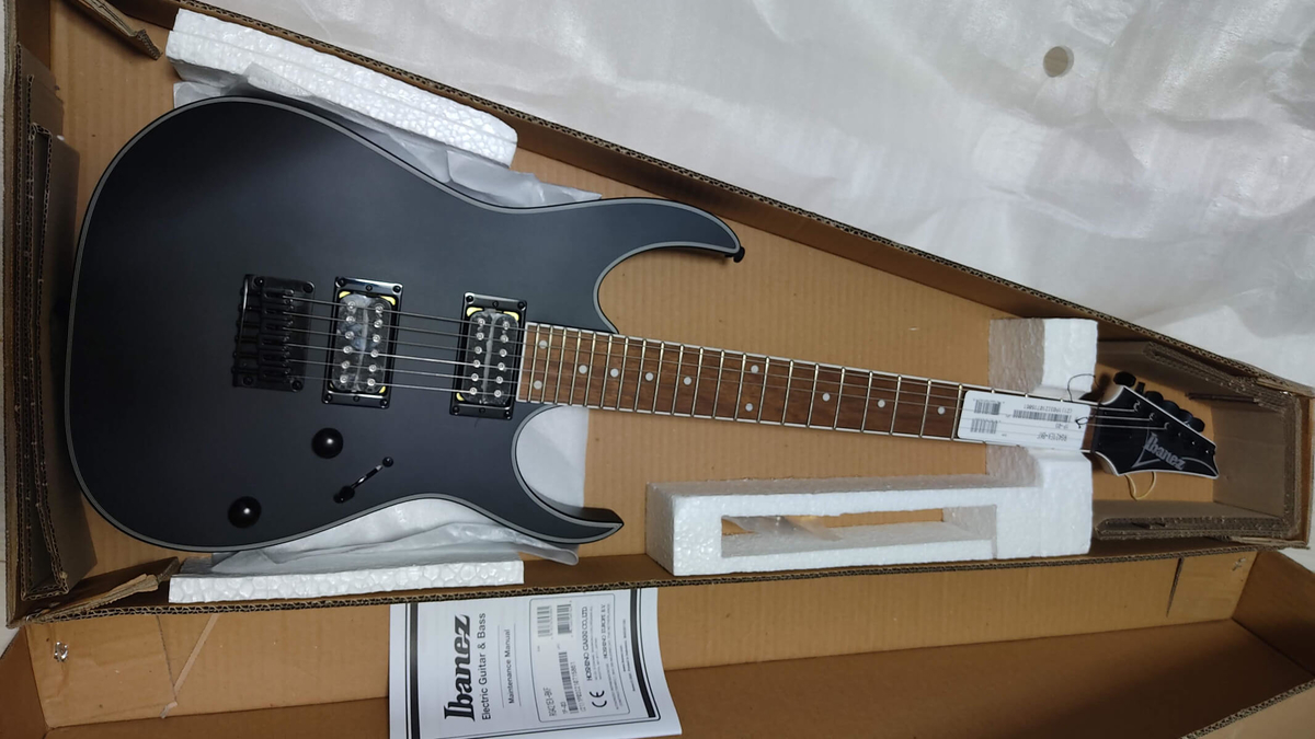 Ibanez RG421EX