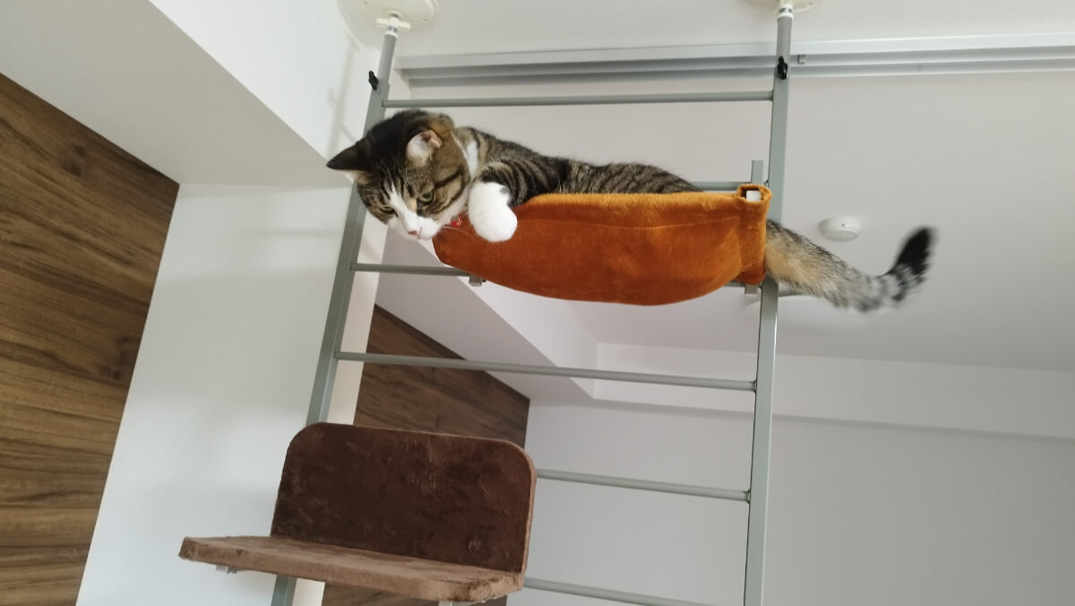 ボンビアルコン キャットウォークのハンモック