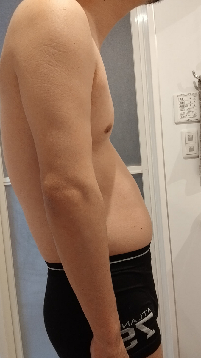 内臓脂肪が増えてきた吐瀉夫の体