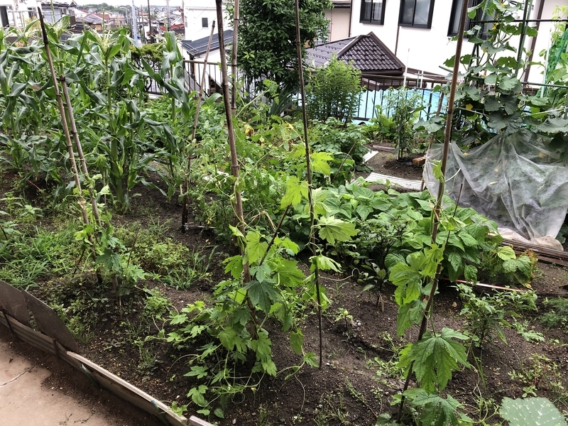 f:id:tosei0128:20190902232552j:plain:w600