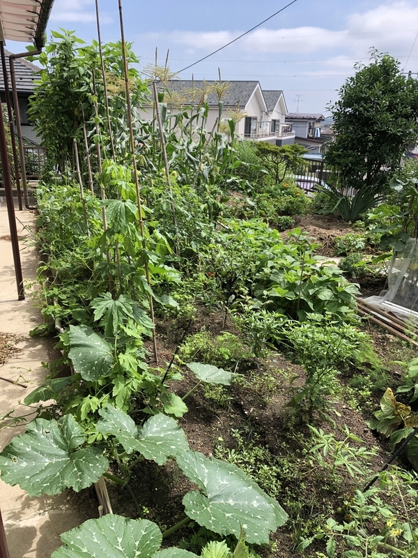 f:id:tosei0128:20190902232816j:plain:w600