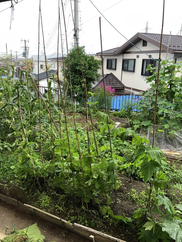 f:id:tosei0128:20190902233106j:plain:w600