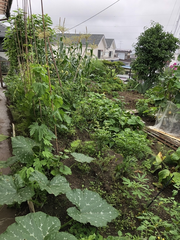 f:id:tosei0128:20190902233134j:plain:w600