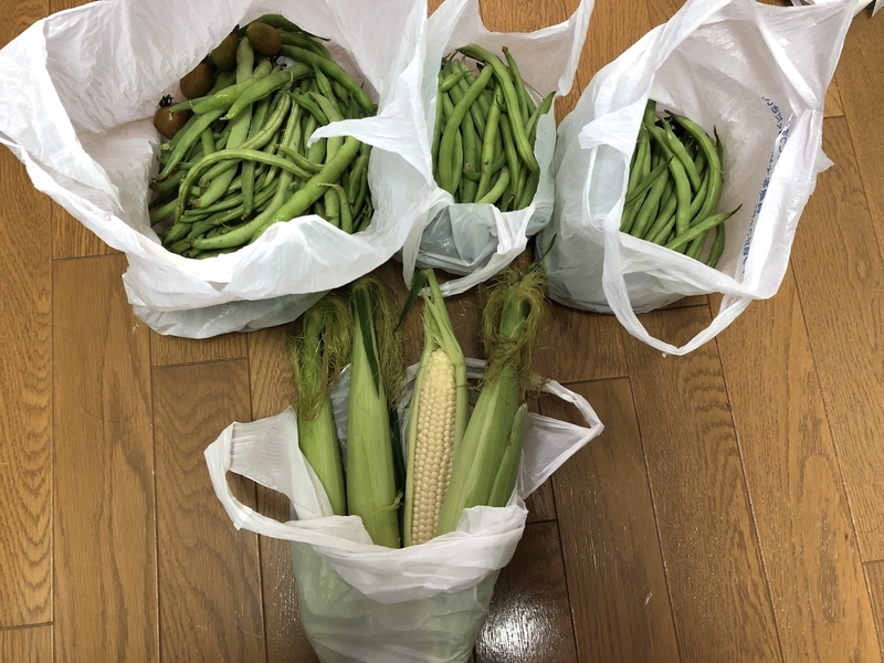 f:id:tosei0128:20190902233351j:plain:w600