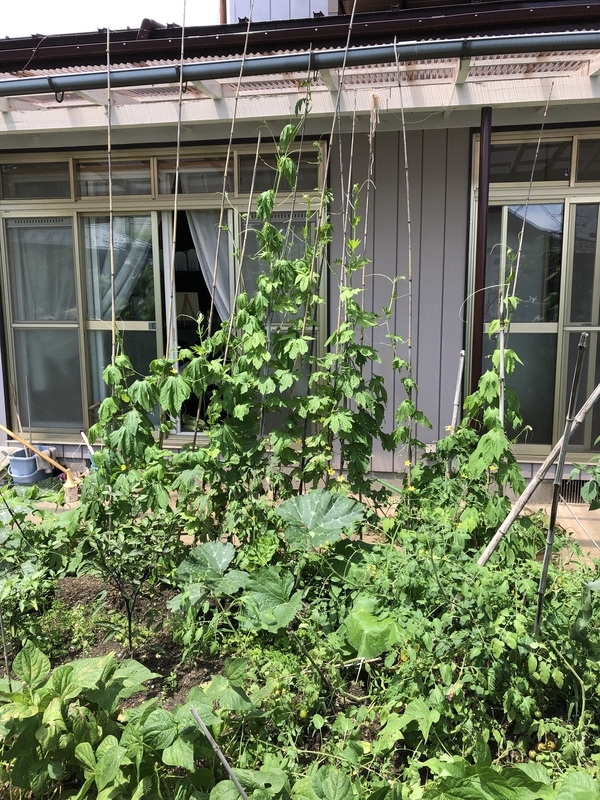 f:id:tosei0128:20190902234101j:plain:w600