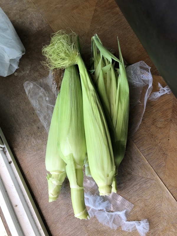 f:id:tosei0128:20190902234135j:plain:w600