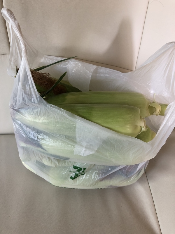 f:id:tosei0128:20190902234522j:plain:w600
