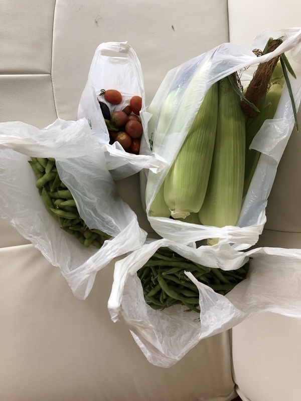 f:id:tosei0128:20190903000726j:plain:w600