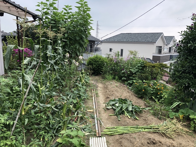 f:id:tosei0128:20190903001105j:plain:w600