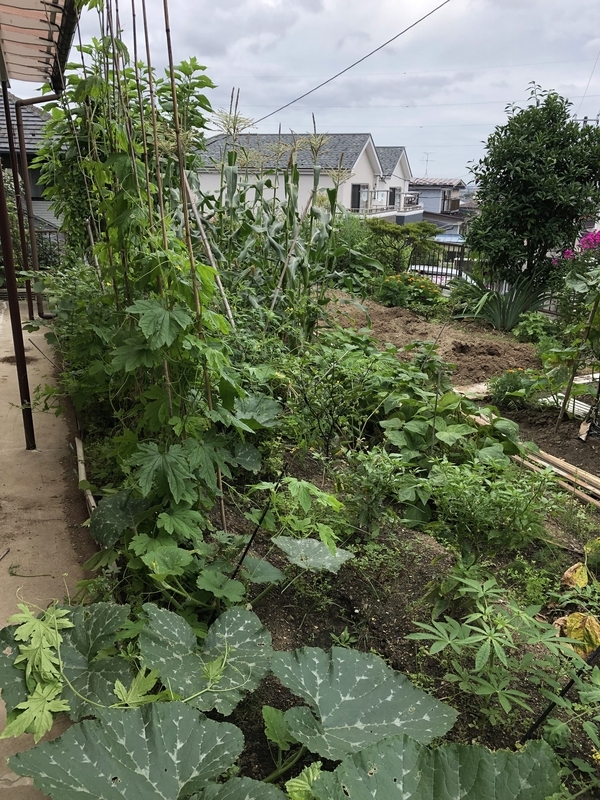 f:id:tosei0128:20190907190642j:plain:w600
