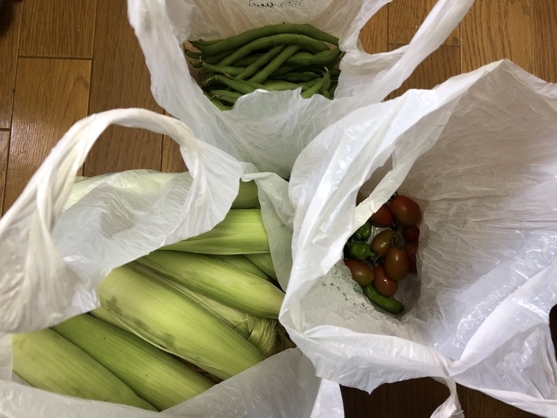 f:id:tosei0128:20190907190725j:plain:w600