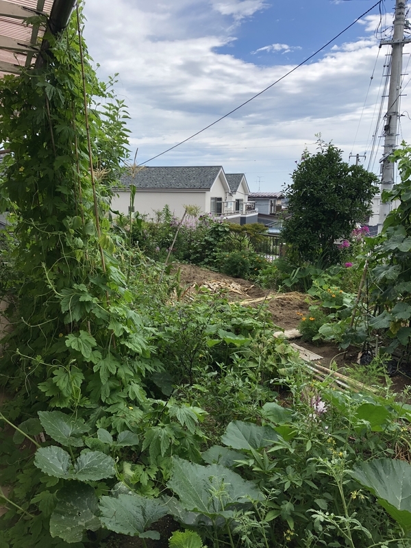 f:id:tosei0128:20190908185727j:plain:w600