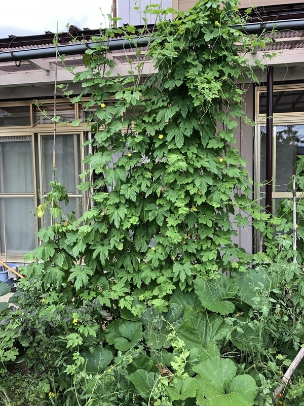 f:id:tosei0128:20190908190035j:plain:w600