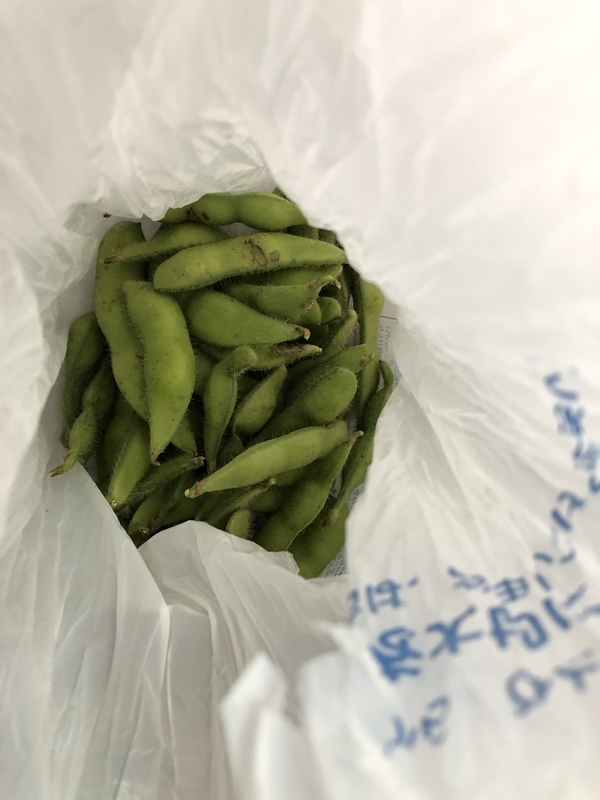 f:id:tosei0128:20190908190112j:plain:w600