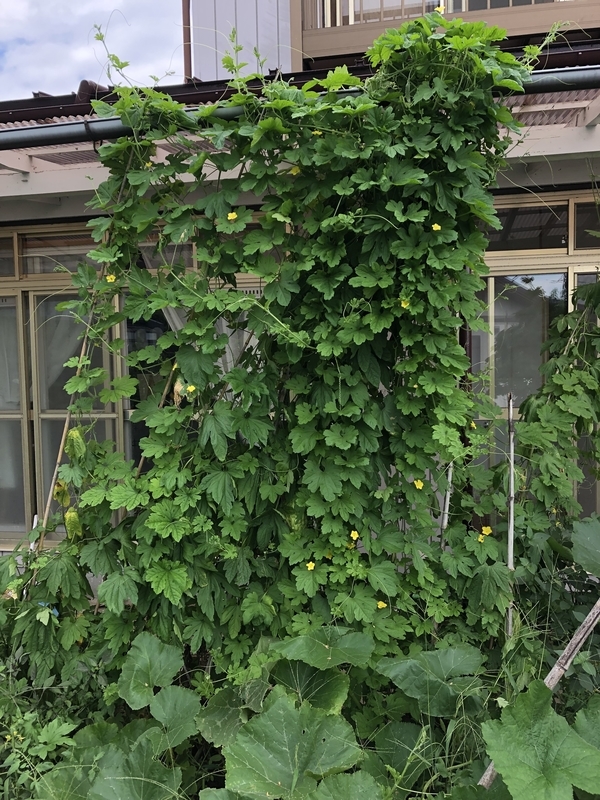f:id:tosei0128:20190908190131j:plain:w600