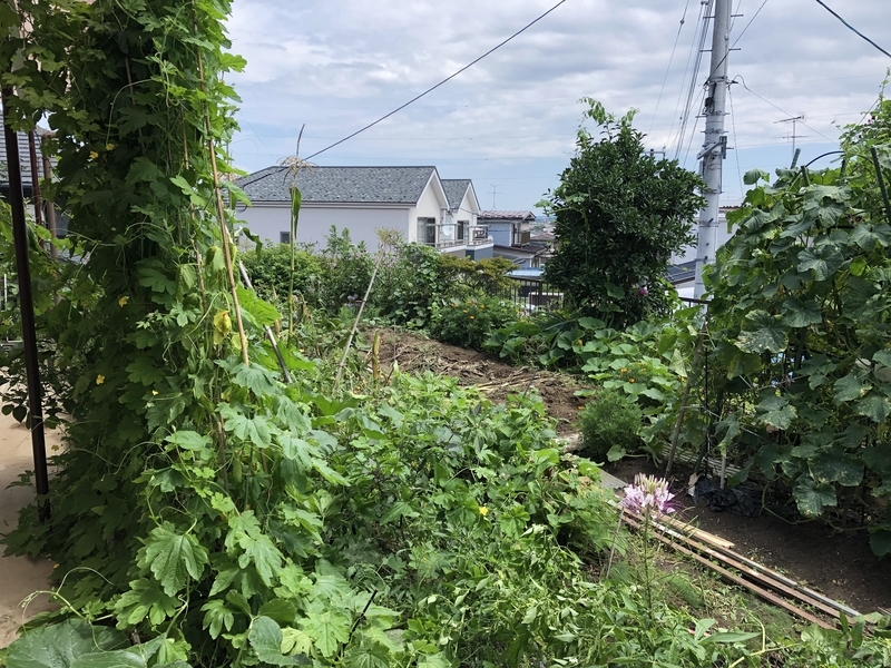 f:id:tosei0128:20190908190209j:plain:w600