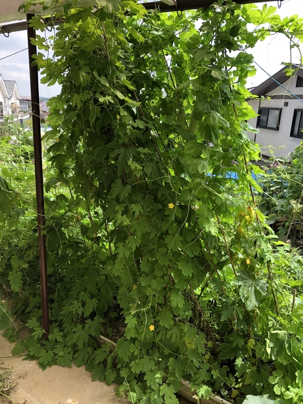 f:id:tosei0128:20190908193823j:plain:w600