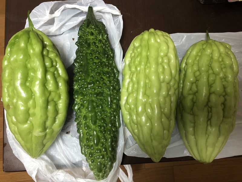 f:id:tosei0128:20190910004937j:plain:w600