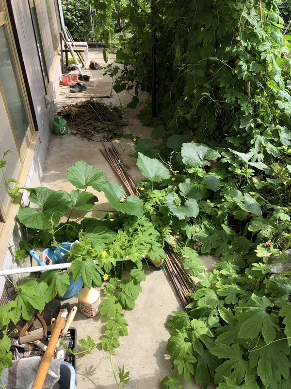 f:id:tosei0128:20190915230755j:plain:w600