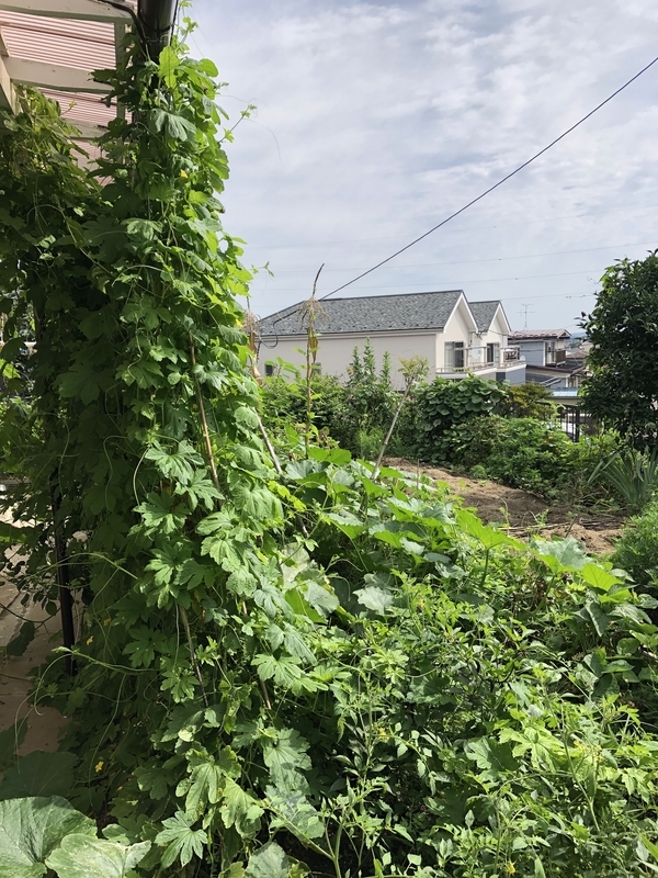 f:id:tosei0128:20190915230817j:plain:w600