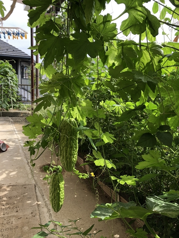 f:id:tosei0128:20190915230857j:plain:w300
