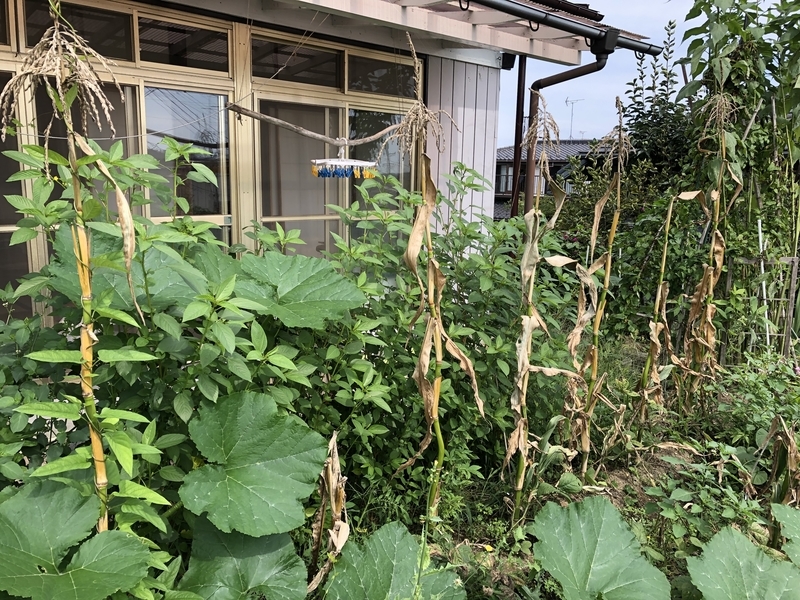 f:id:tosei0128:20190915230939j:plain:w600