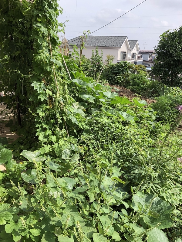 f:id:tosei0128:20190916095559j:plain:w600