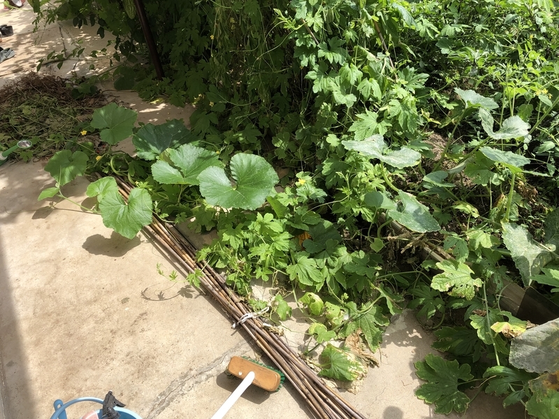 f:id:tosei0128:20190916095624j:plain:w600