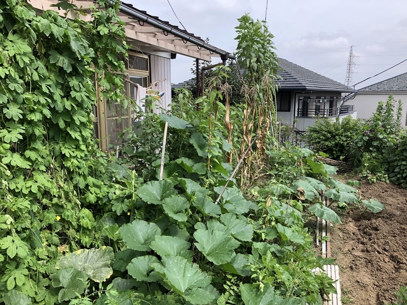 f:id:tosei0128:20190916095838j:plain:w600