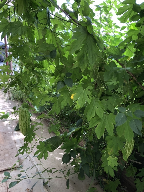 f:id:tosei0128:20190916095905j:plain:w600