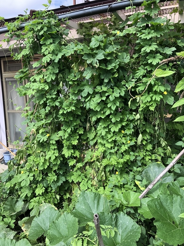 f:id:tosei0128:20190916100253j:plain:w300