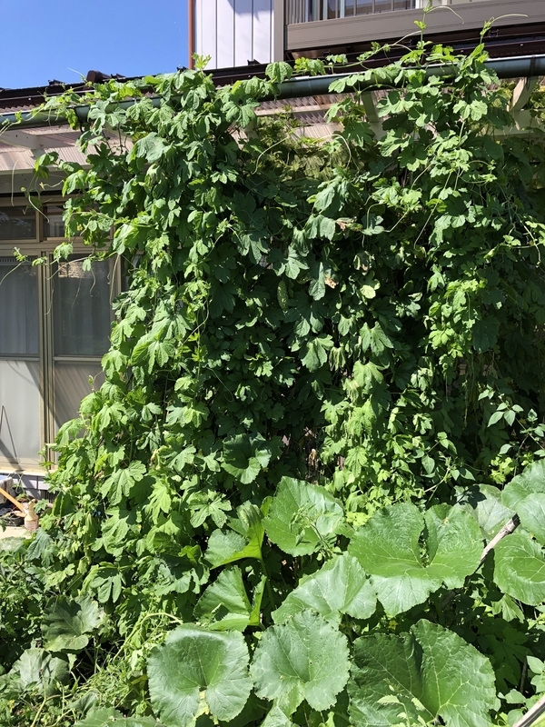 f:id:tosei0128:20191006105857j:plain:w600