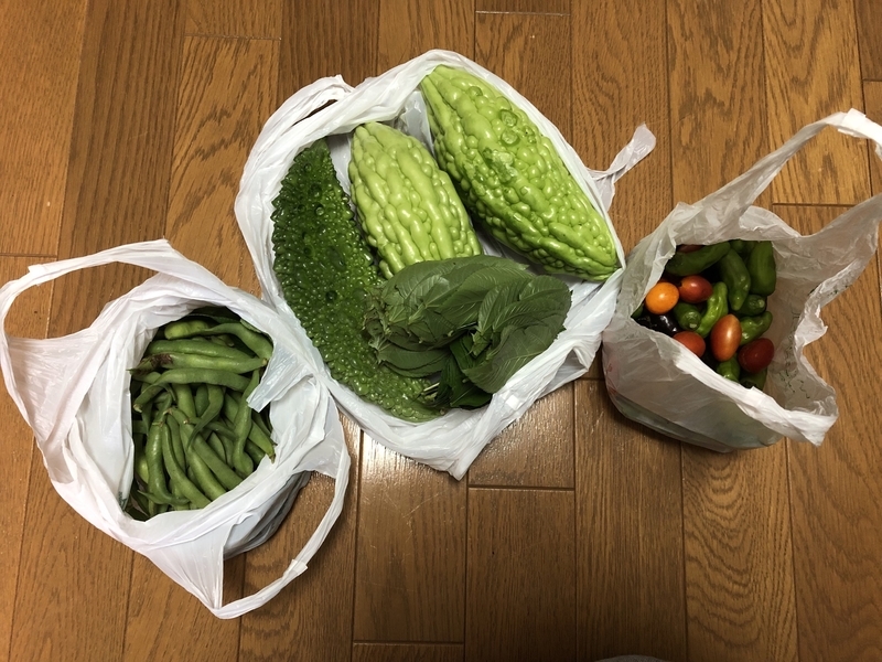 f:id:tosei0128:20191006110023j:plain:w600