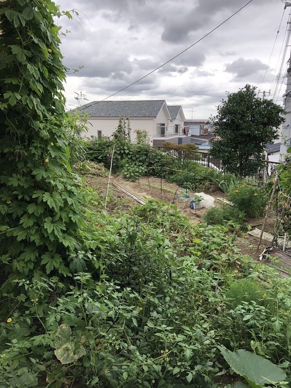 f:id:tosei0128:20191006110152j:plain:w600
