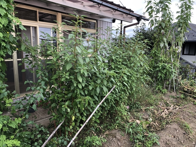 f:id:tosei0128:20191006110451j:plain:w600