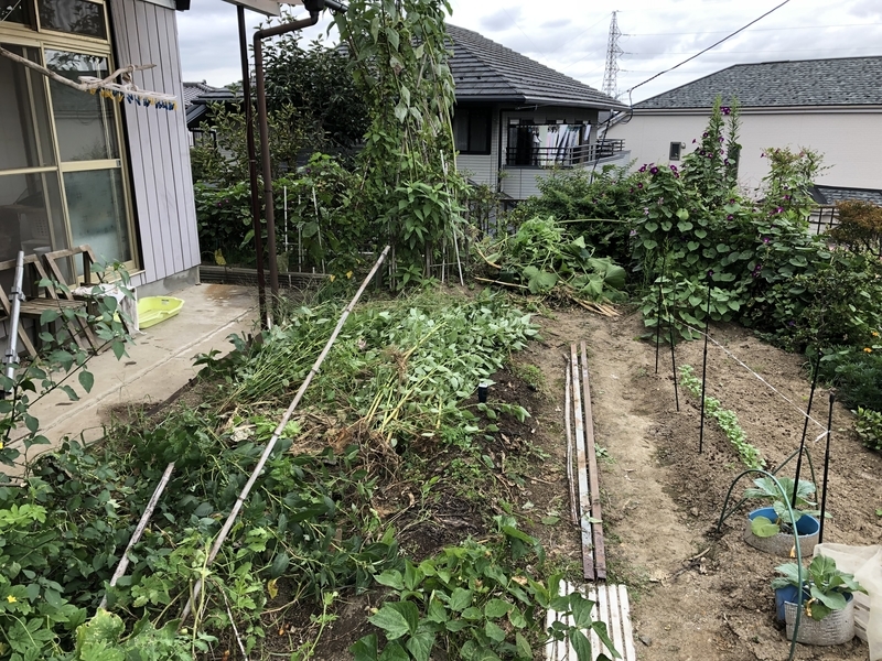 f:id:tosei0128:20191006110548j:plain:w600