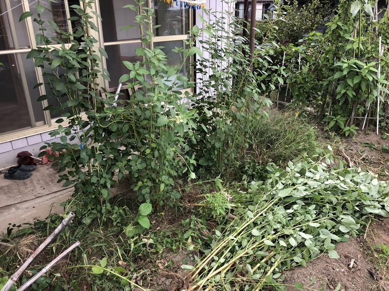 f:id:tosei0128:20191006110611j:plain:w600