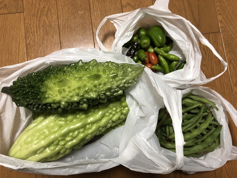 f:id:tosei0128:20191006110625j:plain:w600