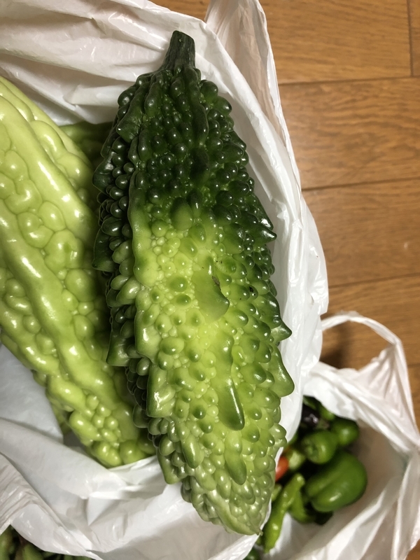 f:id:tosei0128:20191006110650j:plain:w600